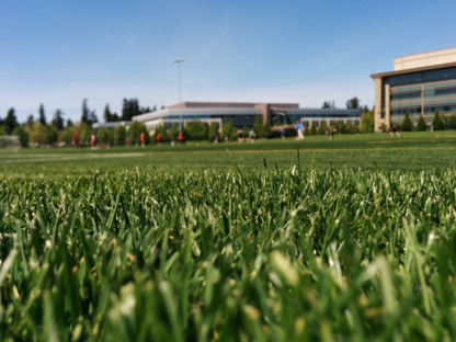 Simpson Enterprise - Lawn Maintenance