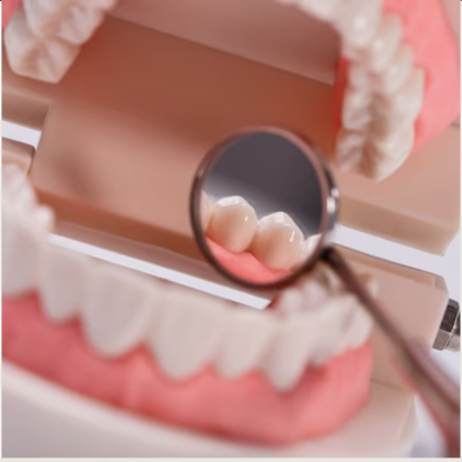 Prime Denture - Denturists
