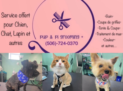 Toilettage Pup & Pi grooming - Pet Grooming, Clipping & Washing