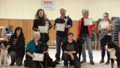Lynne Vachon -Intervenante en Comportement Animal - Dog Training & Pet Obedience Schools