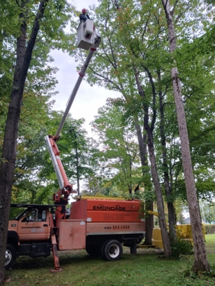 Emondage des Hautes Rives Inc - Service d'entretien d'arbres