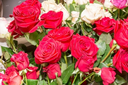 Mostly Roses - Fleuristes et magasins de fleurs