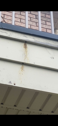Pestline Pest Control Vaughan - Pest Control Services