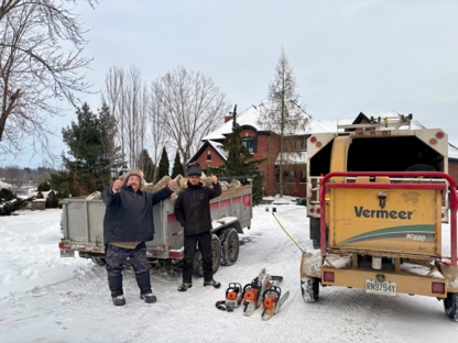 Arboriculture P-H - Tree Service