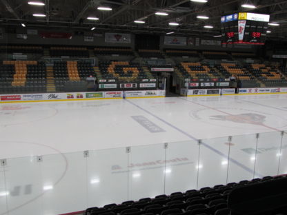 Tigres De Victoriaville - Ligues et clubs de hockey