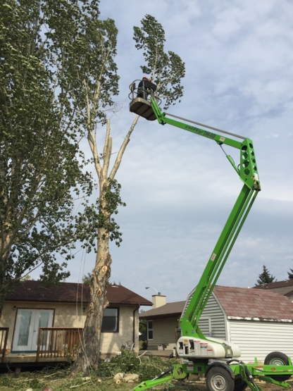 J.R.'S Tree Removal & Pruning - Tree Service