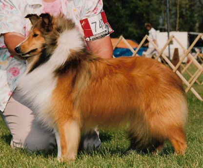 Voir le profil de Keidun Dog Grooming - Sherwood Park