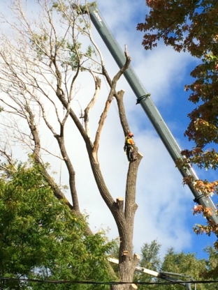 Arborigène - Road Construction & Maintenance Contractors