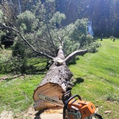 La salle Service d'Arbres - Émondage - Service d'entretien d'arbres