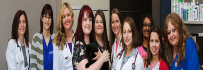 Burnhamthorpe Animal Hospital - Veterinarians