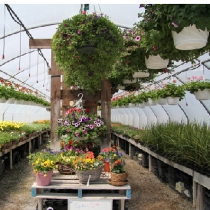 The Blooming Lion - Garden Centres