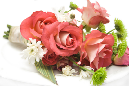 Blooms Flower Shop - Florists & Flower Shops