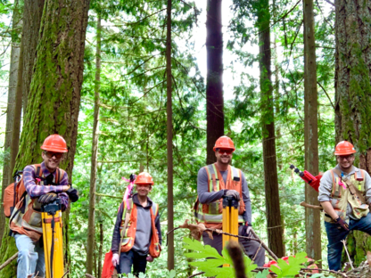 GeoVerra - Land Surveyors