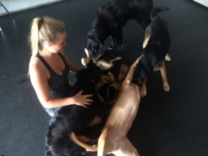 My Balanced Dog - Dog Training & Pet Obedience Schools