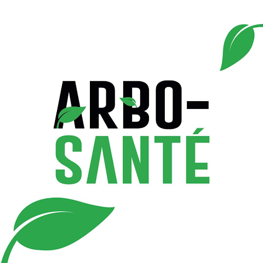 Arbo Santé - Abattage d'arbre - Élagueur Mirabel - Tree Service