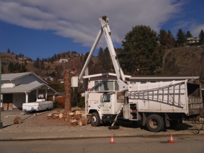 The Bartlett Tree Experts - Tree Service