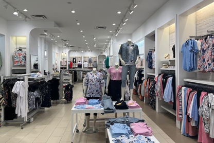 Marie Claire - Women's Clothing Stores