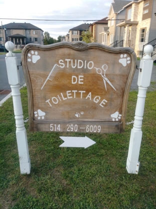 Studio de Toilettage pour Pitous par Minous - Toilettage et tonte d'animaux domestiques