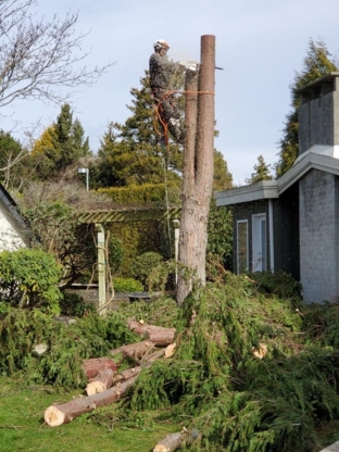 Pacific Hedge Tree Care - Tree Service