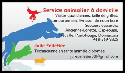 Service Animalier à Domicile - Services pour animaux de compagnie