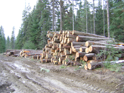 Kussmann Forestry - Logging Companies & Contractors
