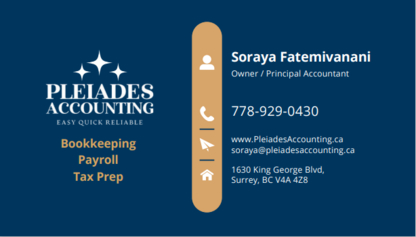 Pleiades Accounting - Comptables