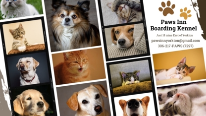 Paws Inn Boarding Kennel - Services pour animaux de compagnie