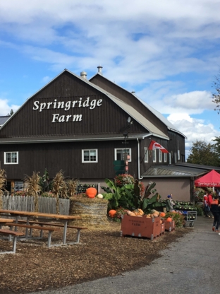 Springridge Farm - Services agricoles
