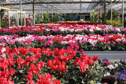 Garden Centres Near Loblaws Plaza Pickering On Yellowpages Ca