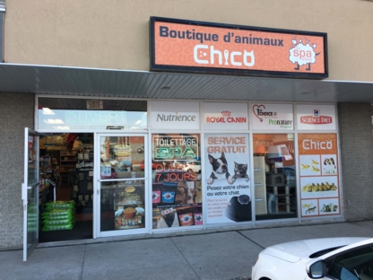 Boutique d'Animaux Chico - Magasins d'accessoires et de nourriture pour animaux