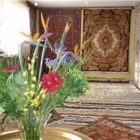 Beckwith Galleries - Carpet & Rug Stores