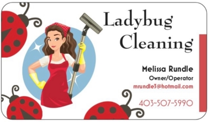 Ladybug Cleaning Services - Service de conciergerie