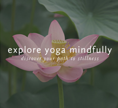 Path to Stillness Yoga Studio - Yoga Courses & Schools
