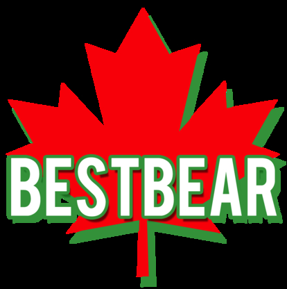 BestBear Sales - Computer Repair & Cleaning