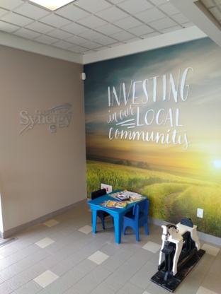 Synergy Credit Union - Credit Unions