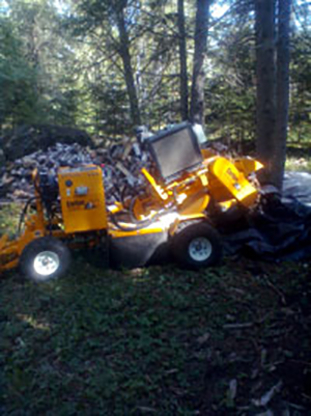 North West Tree & Stump Removal Service - Service d'entretien d'arbres