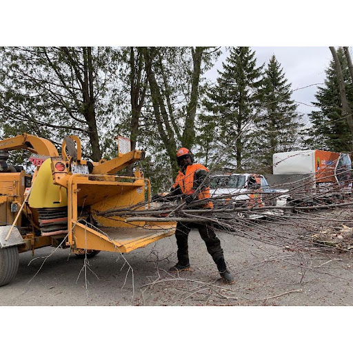 Émondage Arboxygène - Élagueur Longueuil - Service d'entretien d'arbres