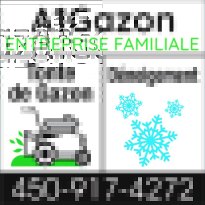 A1 Gazon - Gazon et service de gazonnement