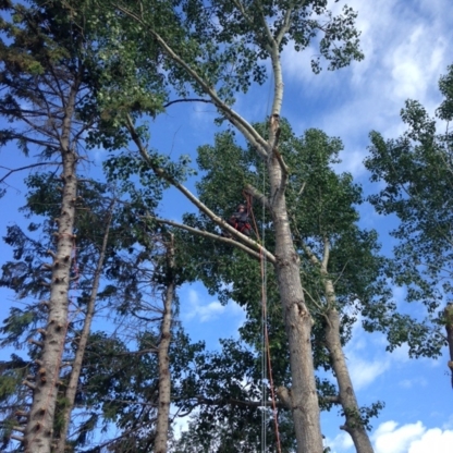 Elite Tree Services - Service d'entretien d'arbres