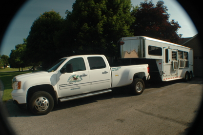 Trillium Horse Transport - Transportation Service