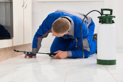 Natural Pest Solutions - Pest Control Services