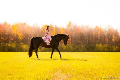 Wynbrook Equestrian Centre - Riding Academies