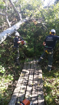 Logan Tree Experts - Tree Service