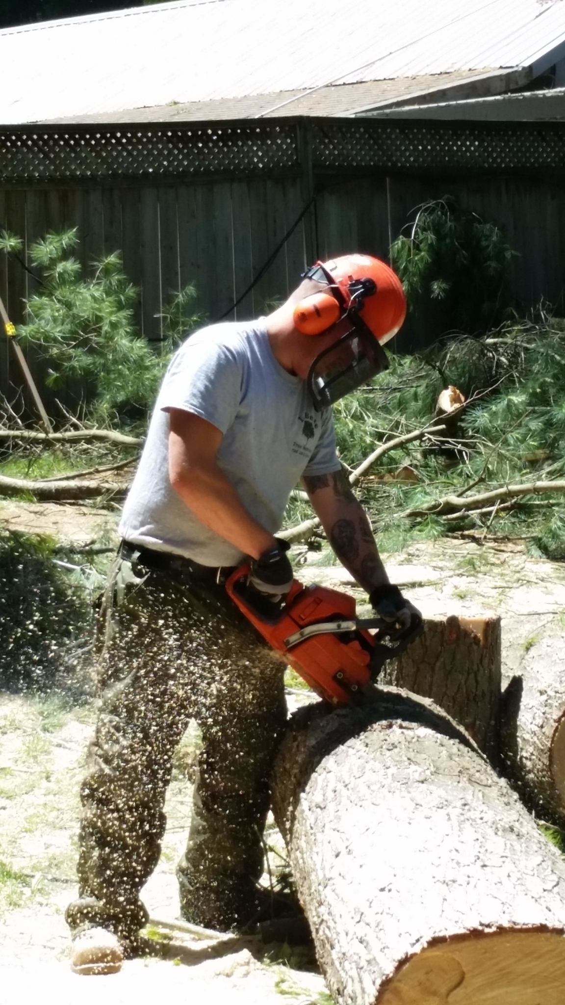 Labelle Tree Service Inc - Tree Service