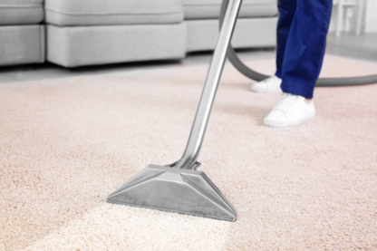 View Ottawa Carpet Cleaning’s Gloucester profile