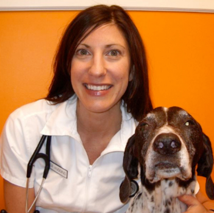 Granville Island Veterinary Hospital - Veterinarians