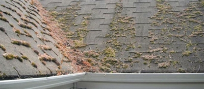 Armstrong Cleaning Inc - Eavestroughing & Gutters