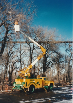 The Tree Man and Son - Tree Service