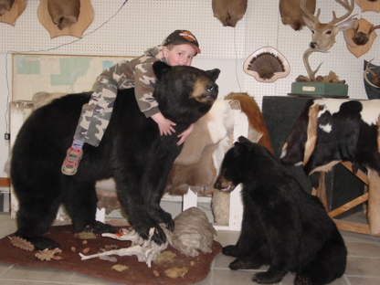 Taxidermie De L'Estrie - Grossistes et fabricants de produits en plastique