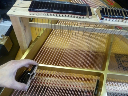 Torn Piano - Piano Tuning, Service & Supplies